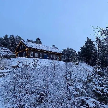 Year-round On Breiland In Municipality * Hjelmeland