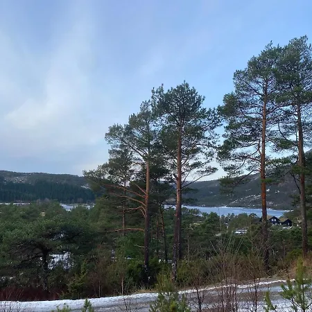 別荘 Year-round On Breiland In Municipality Hjelmeland