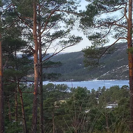 Year-round On Breiland In Municipality Hjelmeland
