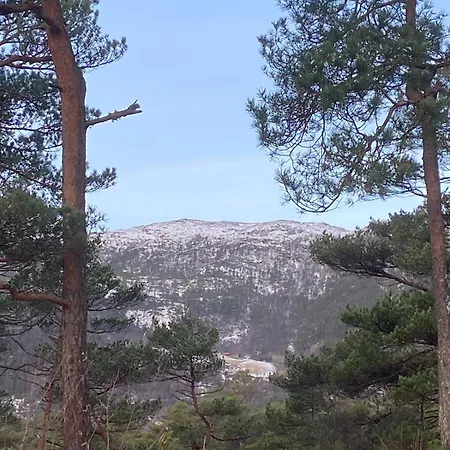 別荘 Year-round On Breiland In Municipality